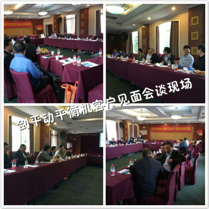 劍平動(dòng)平衡機(jī)會(huì)談現(xiàn)場